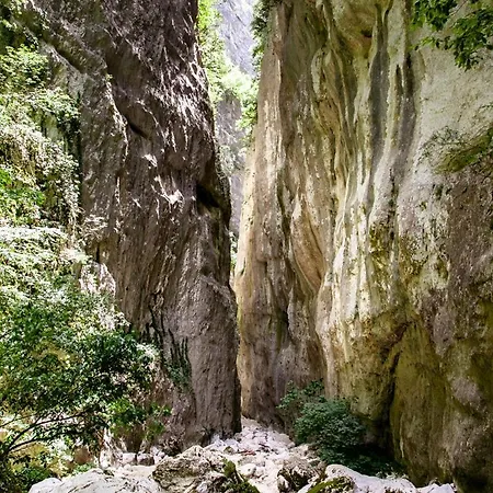 Corfinium Nyaraló Corfinio