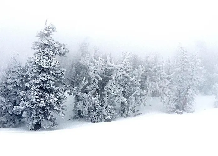 Дом отдыха Corfinium *